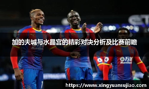 加的夫城与水晶宫的精彩对决分析及比赛前瞻